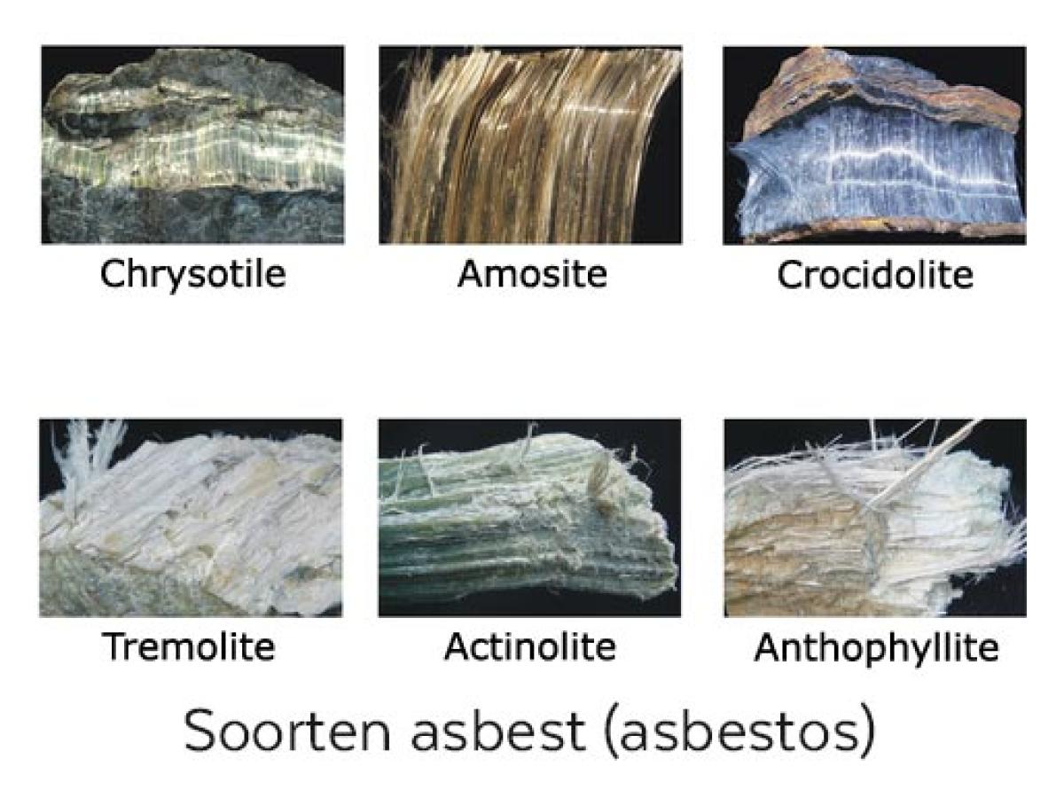 asbest inventaris soorten asbest door invendes westkust